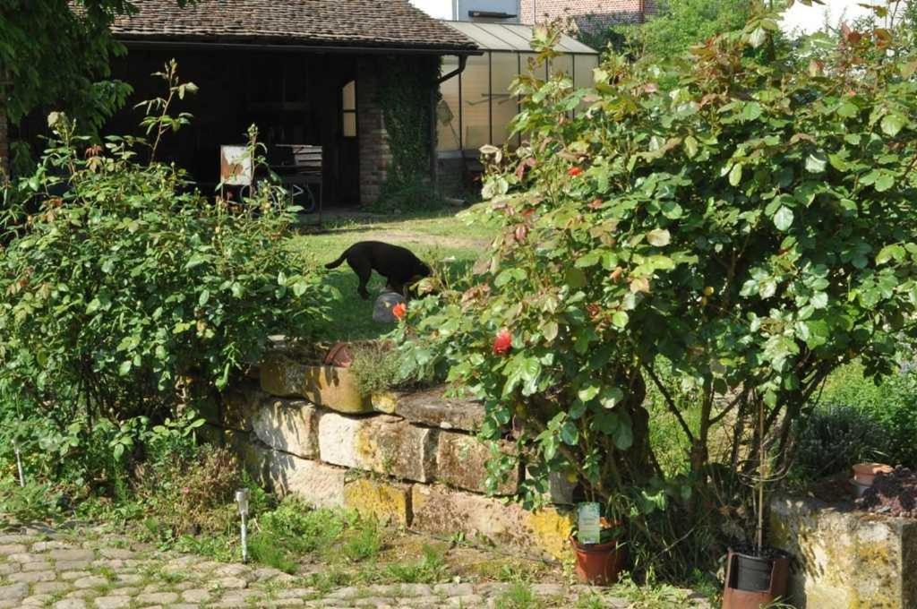 Gaestezimmer - Fuhrhalterei Maul Breuberg Exteriör bild