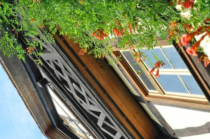Gaestezimmer - Fuhrhalterei Maul Breuberg Exteriör bild