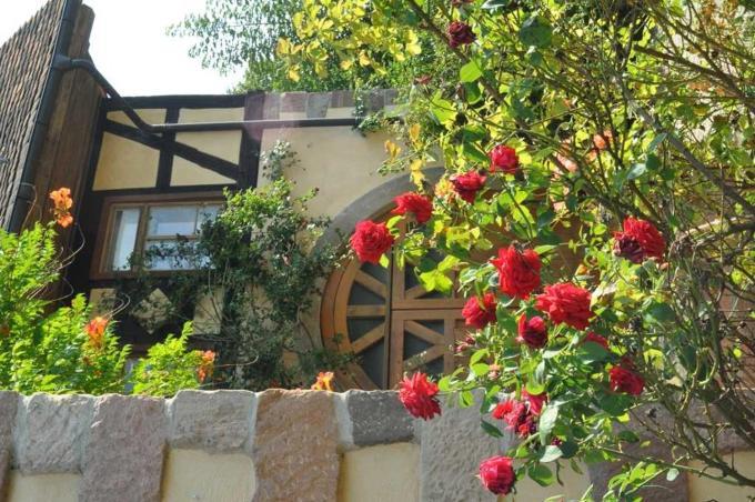 Gaestezimmer - Fuhrhalterei Maul Breuberg Exteriör bild